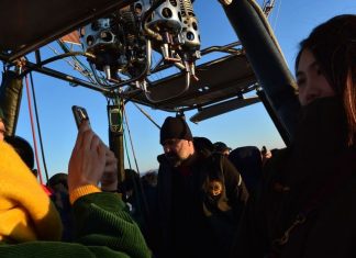 The Essence of Vinegrowing