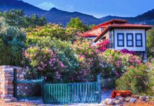 Theoderic by Eutharic and Amalasuntha