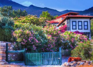 Theoderic by Eutharic and Amalasuntha