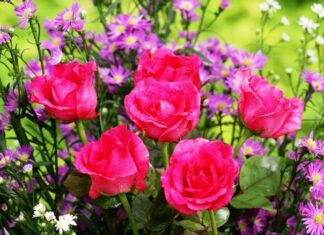 Travel in Greece Comforts and Challenges