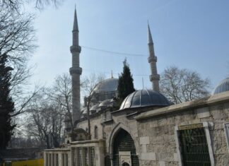 Social Political and Economic Life in Bulgaria